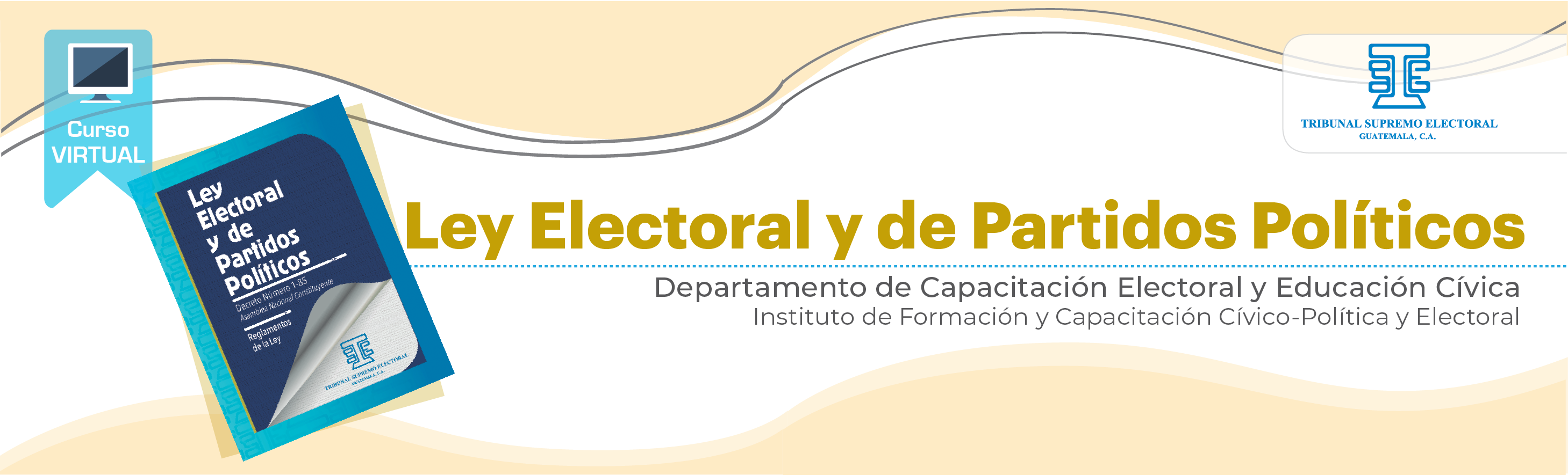 Ley Electoral y de Partidos Políticos 22 N