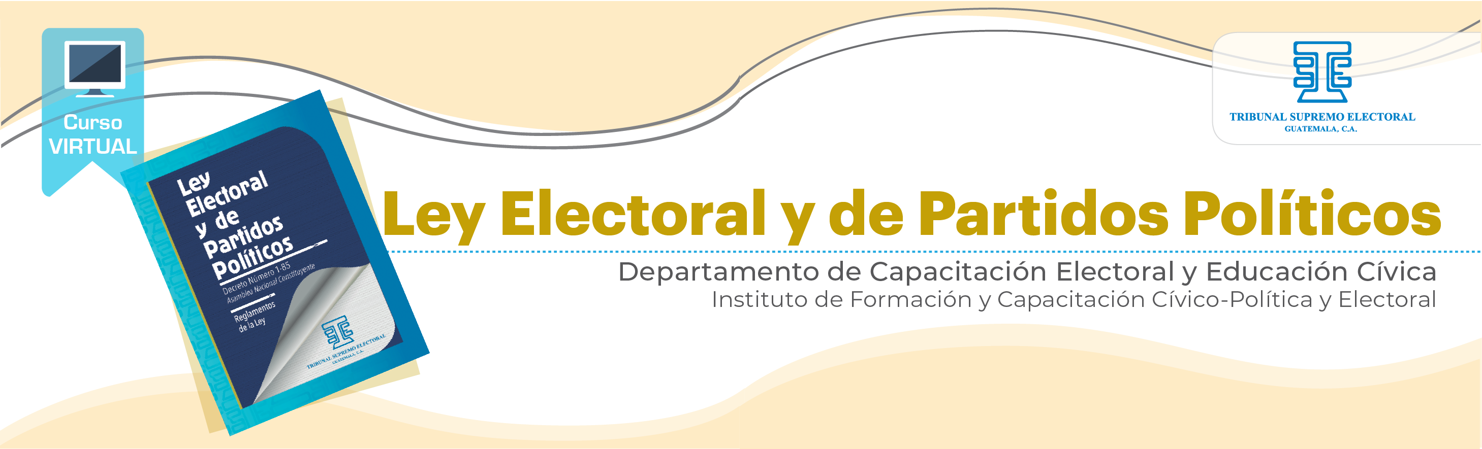 LEPP23A Ley Electoral y de Partidos Políticos 